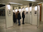 IMG_6993.JPG