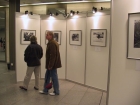 IMG_6997.JPG