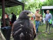 IMG_7252a.jpg