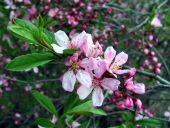 IMG_7015.jpg